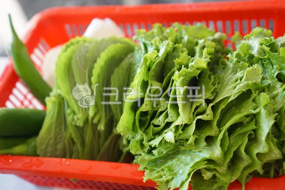 Lettuce,Ssam vegetables,vegetarian,eat,wrapping,vegetable,Sesame