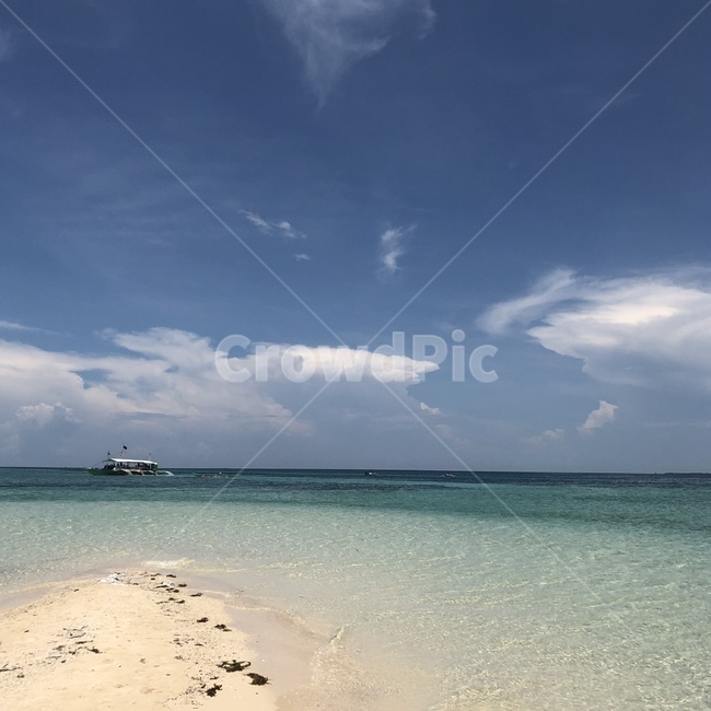 shoreline,해안선,water,물,land,땅,nature,자연,sea,바다,ocean,대양,자연,풍경,nature,landscape,outdoors,옥외