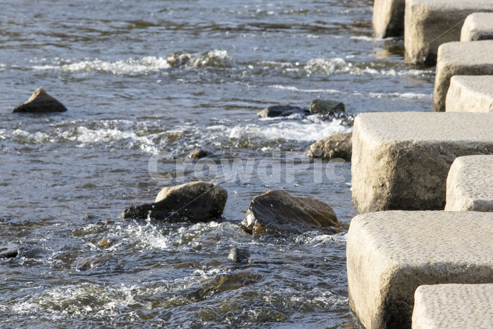 안양천,nature,outdoors,자연,water