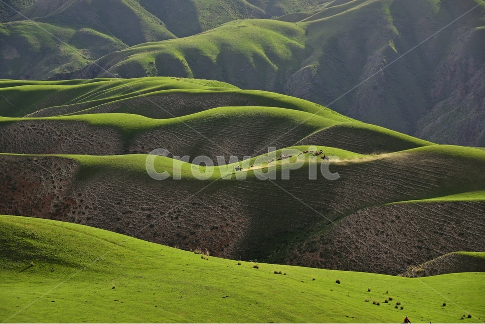 중국,신장성,천산산맥,카라준초원,초원,경치,경관,풍경,outdoors,옥외,nature,자연,grassland,목초지,field,들,말,방목,자연,풍경,nature,landscape,해외,외국,세계,foreign,oversea,world,세계자연풍경,해외자연풍경,외국자연풍경,world nature landscape