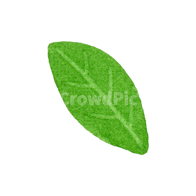 잎,나뭇잎,수채화,초록,자연,아이콘,귀여운,손그림,일러스트,green,leaf,nature,illustration,watercolor,icon,봄,여름,plant,식물,식물,자연,plants,nature,누끼,remove background