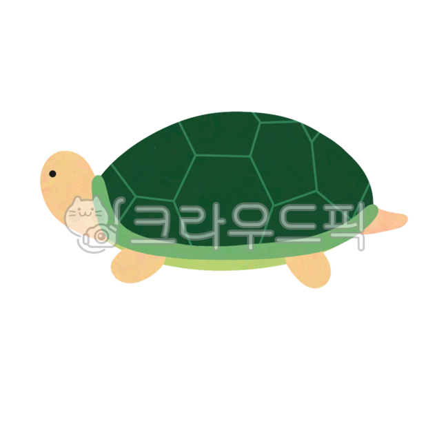 Turtle,turtle,sea turtle,sea turtle,land turtle,land turtle,turtle illustration,ten longevity symbols