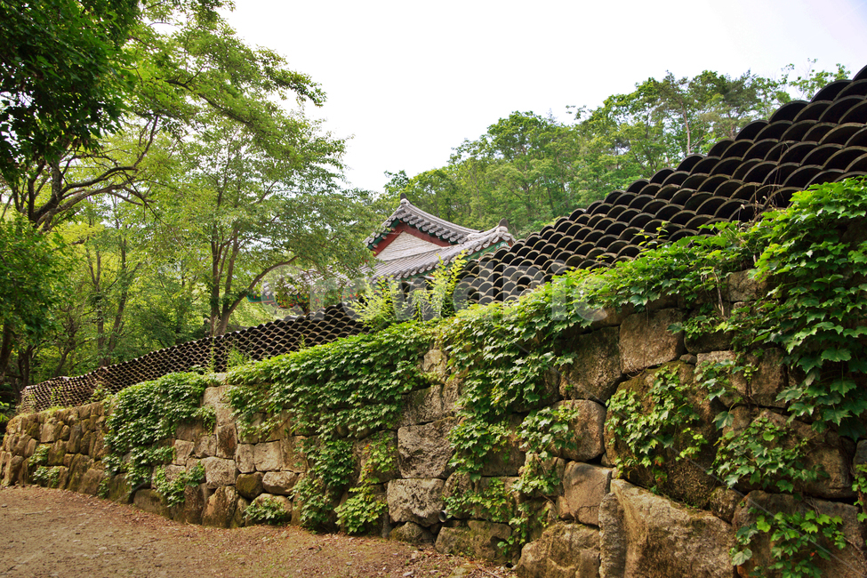 돌담,담쟁이,청평사,오봉산,요사채,춘천,자연,한국전통,한국문화,korean traditional,korean culture,건축물,건물외관,exterior,building,structure,architecture,construction