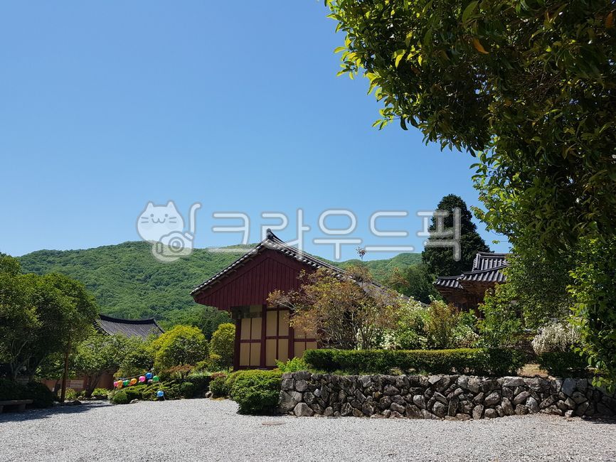 healing,temple,Buddhas Birthday,Amazing scenery,peaceful