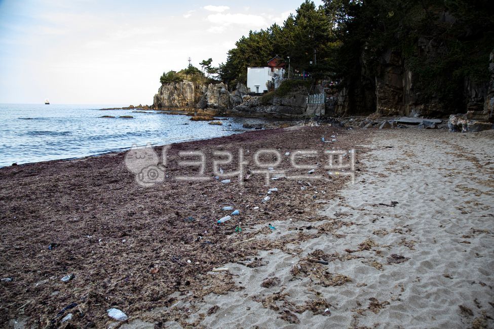 merchant ship,Gamchu Beach,ship,clouds,rotting,smell,marine,East Sea sea,rocks,plastic bottle,sky,waves,cleaning,travel destination,East coast,bad smell,seaweed,garbage,Sea,Gamchu,coast,horizon,background,landscape,washed up