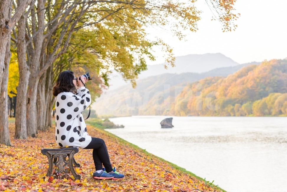 감성,가을,단풍,송호리,풍경,가을,계절,fall,autumn,season,사람,인물,인간,human,person,여성,여자,woman,female,lady,사진작가,포토그래퍼,photographer