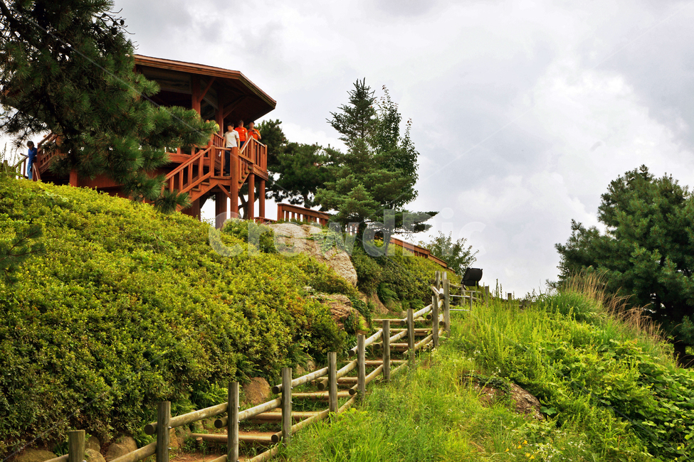 심학산,전망대,파주,목책,경기도
