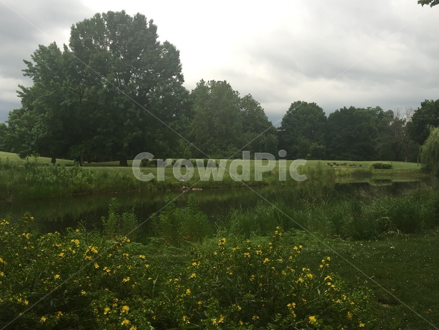공원,호숫가,호수,연못,호숫가생태,들꽃나무호수,자연,풍경,nature,landscape,outdoors,옥외,grassland,목초지,field,들,farm,농장,rural,농촌,meadow
