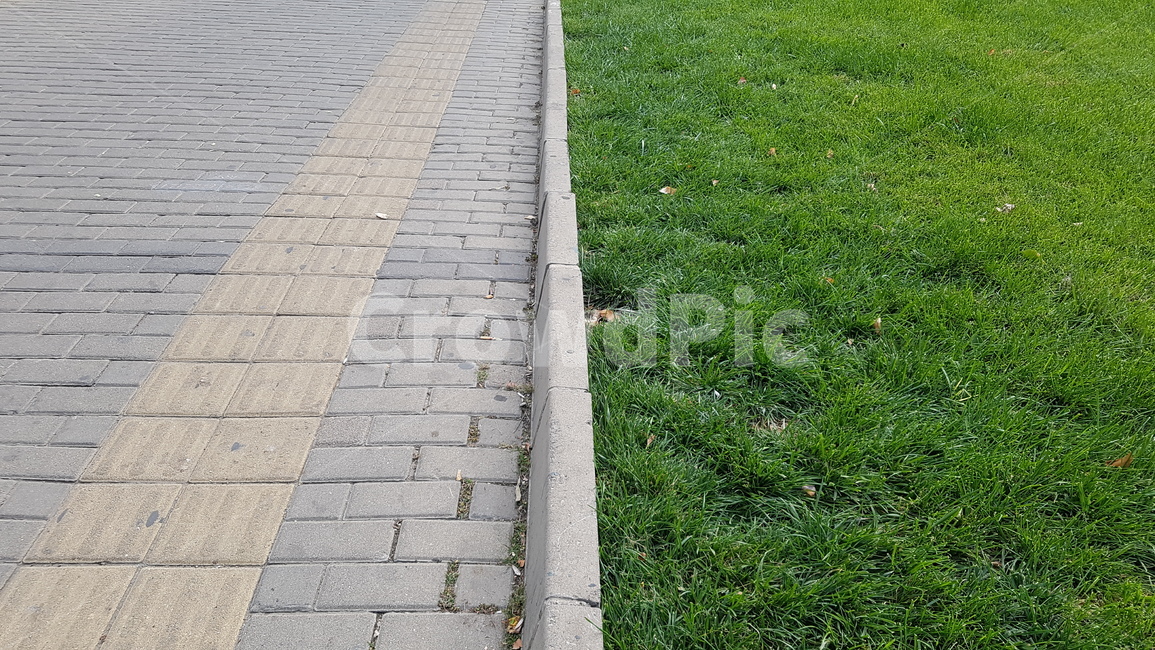 보도,잔디,walkway,plant,path,보도블럭