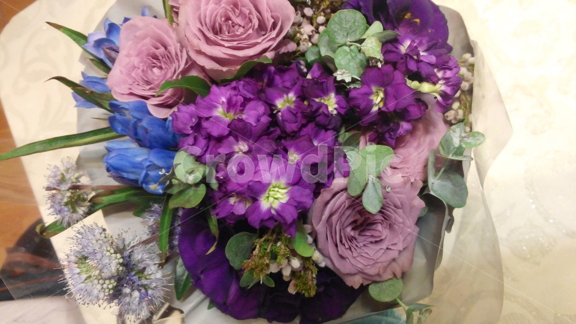 꽃,플라워,꽃다발,부케,장미,flower,bouquet,rose,이벤트,event,서프라이즈,surprise,컬러풀,colorful,생일,birthday,축하,파티,party,선물,present,따뜻한,부드러운,감성적인,보라,purple