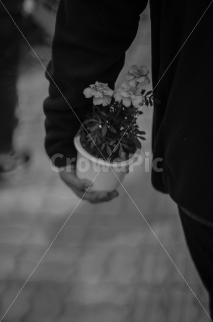 꽃,화분,슬픔,흑백,세월호,식물,자연,plants,nature,꽃,flower,사람,인물,인간,human,person,신체일부,몸,body,흑백,모노톤,monochrome,black and white