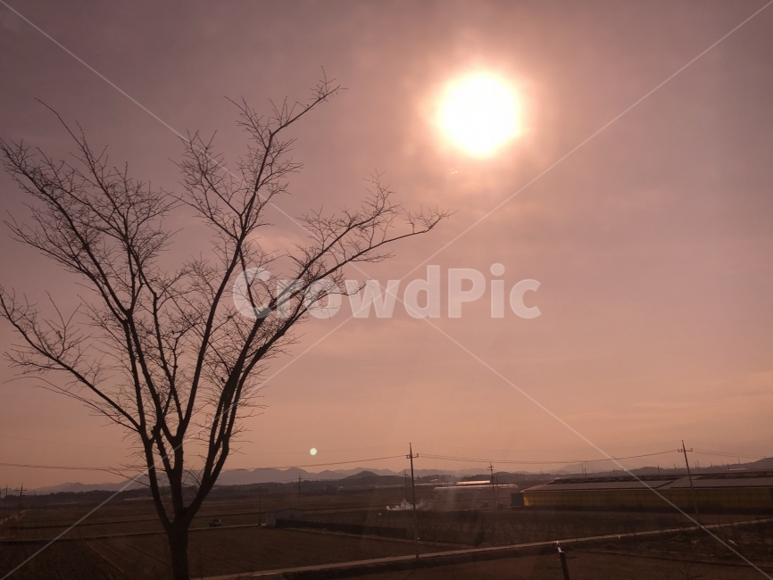 해,해질녘,나무,하늘,배경화면,바탕화면,논,자연,Sun,tree,Cloud,Sunset,Background,자연,풍경,nature,landscape,시골,마을,country,rural,town,식물,plants,나무,trees,wood,outdoors,옥외