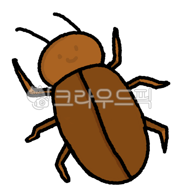 바퀴벌레,곤충,귀여운,갈색,징그러운,벌레