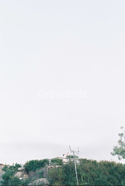 풍경,공원,감성,필름,필름사진,자연,풍경,nature,landscape,animal,동물,bird,새,flying,나는