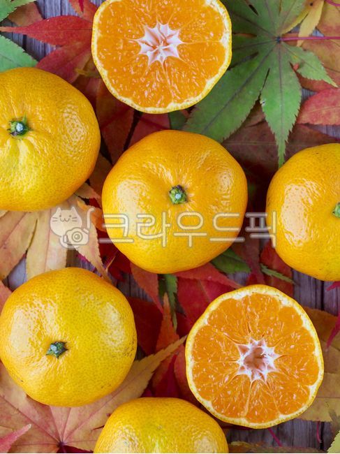 jejutangerine,fruit,yellow,jeju island,jejuisland,tangerines,mapleleaf,Maple leaf,leaves,jejuislandspecialties,mandarin,citrus fruits,tangerine,Jeju Island Specialties,leaf,food,citrusfruit,background,plant,autumn,Jeju tangerines