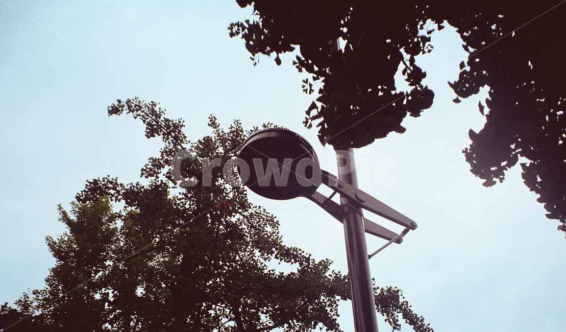 가로등,하늘,나무,풍경,필름