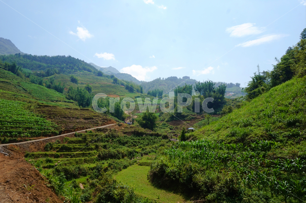 자연,풍경,베트남,nature,scenery,outdoor,야외,산,mountain,vietnam,언덕,hill,outdoors,countryside,사파,자연,풍경,nature,landscape