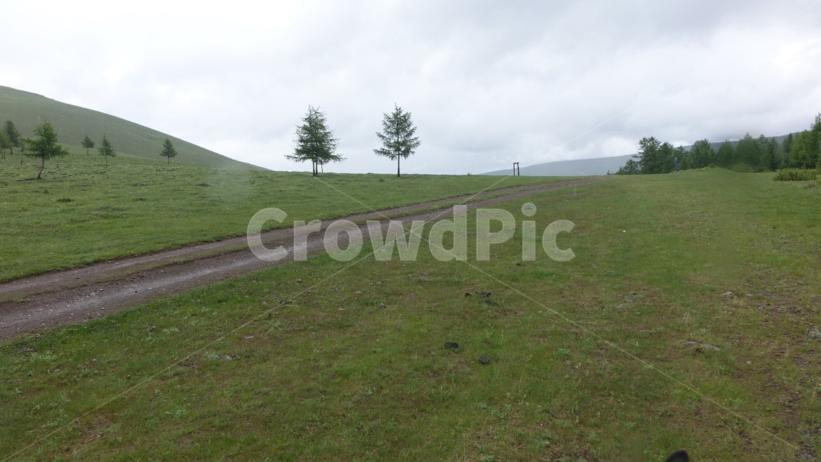 자연,풀밭,들판,nature,grass,field,green,초록,길,road,도로,나무,tree