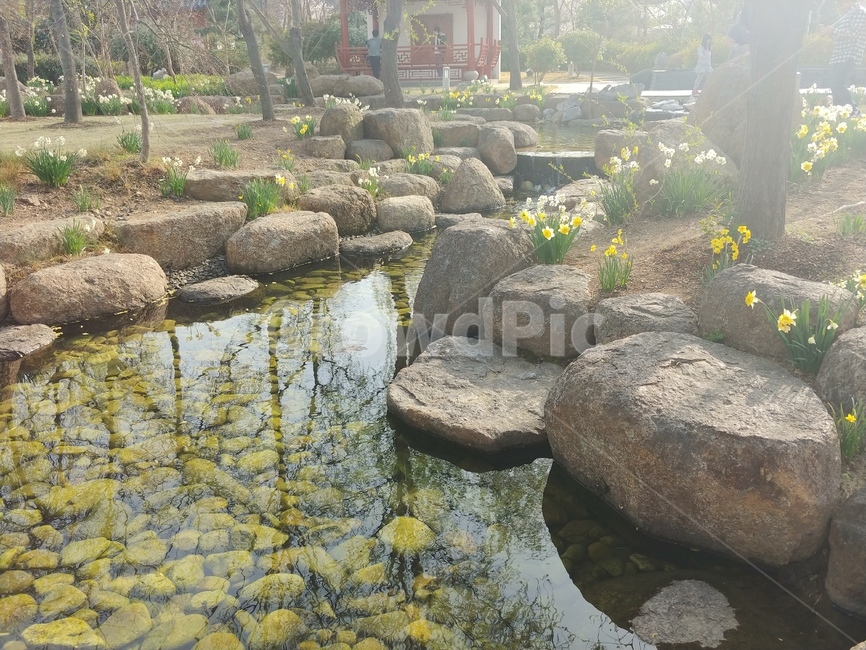 연못,pond,물웅덩이,정원,garden