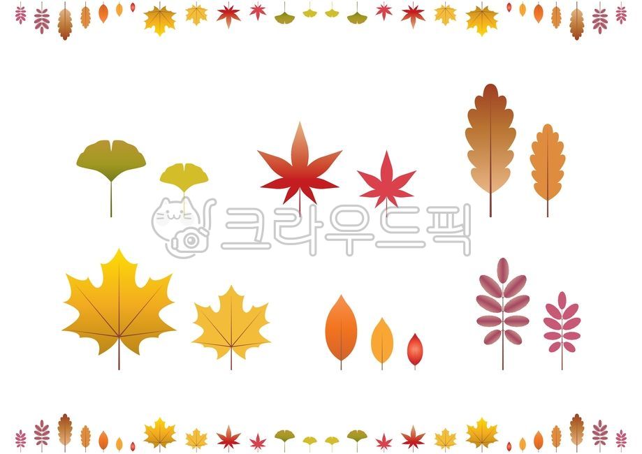 pattern,autumnleaves,Maple leaf,ginkgo leaves,fallen leaves,fall,season,graphic,Maple,Autumn leaves illustration,leaf,fall illustration,plant illustration,plant,maple,illustration,autumn