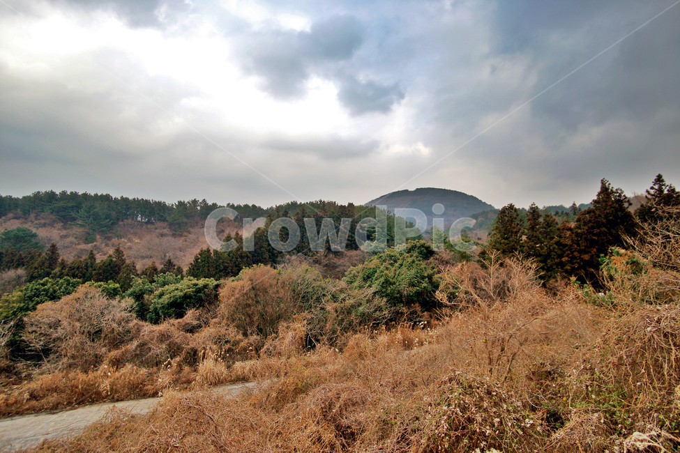 소산오름,오름,제주도,기생화산,중산간,계절,자연