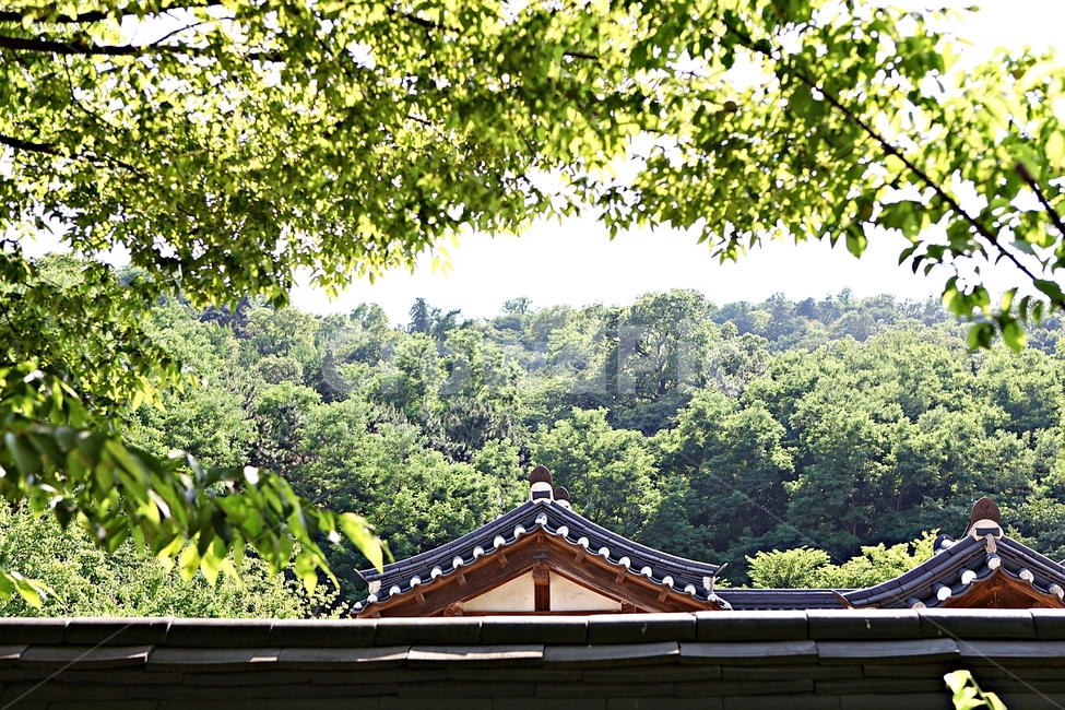 기와집,전통집,한옥,집,옛날집,한국전통,한국문화,korean traditional,korean culture,건축물,건물외관,exterior,building,structure,architecture,construction