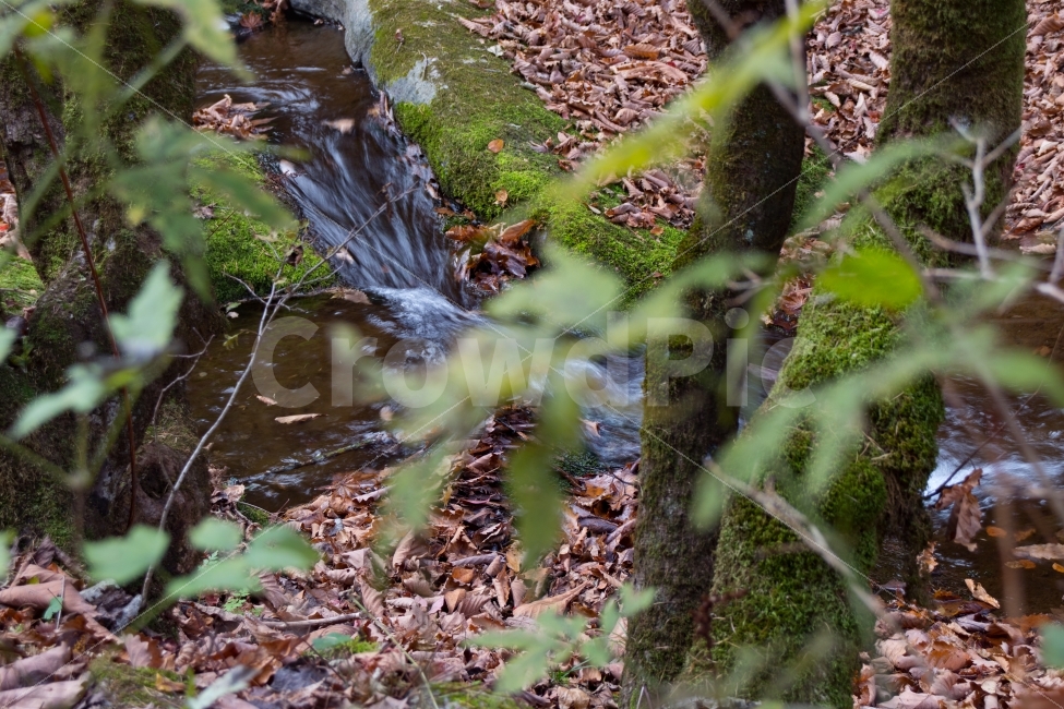 물,나무,계곡,낙엽,장노출,가을,계절,fall,autumn,season,자연,풍경,nature,landscape,water,outdoors,옥외