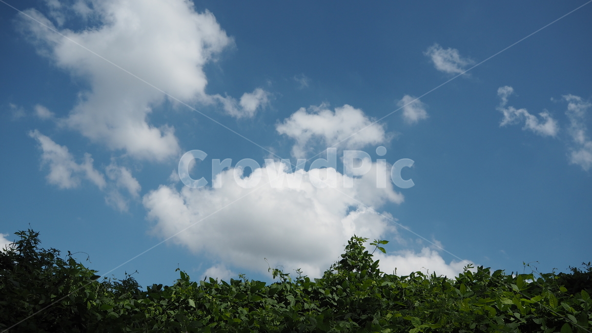 자연,날씨,옥외,구름,하늘,nature,weather,outdoors,cloud,sky,식물,plant,자연,풍경,nature,landscape