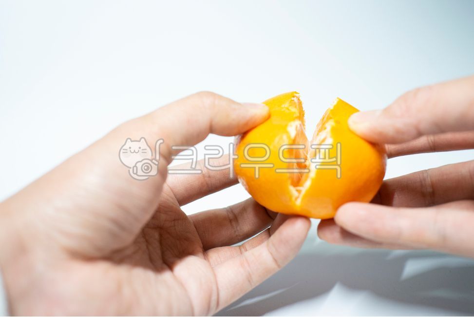 오브젝트,귤,건강,손,과일,음식,오렌지,비타민,다이어트