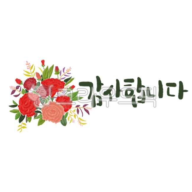 background removal,Decorating a diary,Nukki,Callie,Good Note,carnation,thank you,Gratitude Calligraphy,thanks,Carnation illustration,Teachers day,family day,handwriting,png,sticker,label,korean,Mothers Day,gift calligraphy,planner stickers,Dakku,gift wrap
