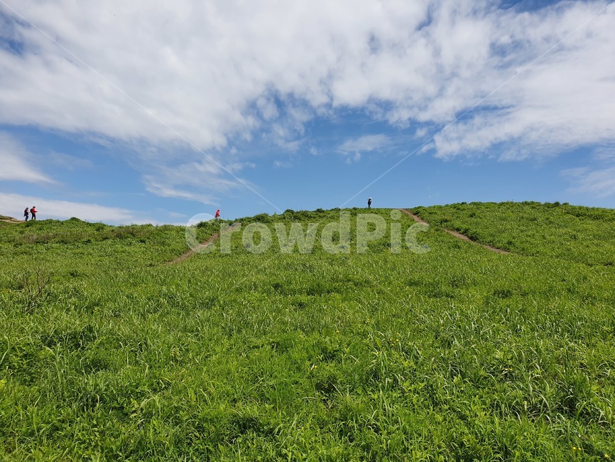 자연,nature,outdoors,옥외,트래킹,tracking,산책,언덕,field,hill,countryside