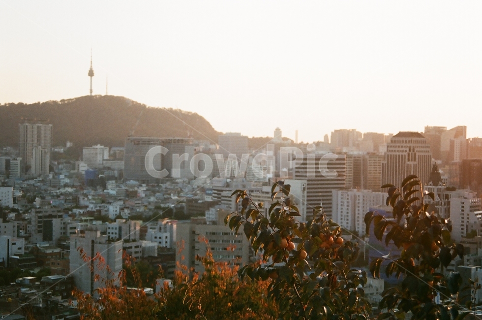낙산공원,남산타워,노을,서울,가을,가을,계절,fall,autumn,season,도시,풍경,city,landscape,한국도시풍경,한국도시경관,korea cityscape,감성,sensible,feeling,nature,자연,경치,outdoors,옥외,scenery,town,metropolis,중심지,urban,어반,building,건물,시티