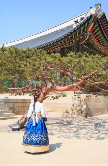 	한복,경복궁,여성,여인,여자,아름다운,봄,봄날,궁전,궁궐,반영,전통,의상,복장,고운,자태,선,규수,선녀,처녀,낭자,아씨,뒷모습,소나무,산책,나들이,랜드마크,landmark,tourist attraction,한국전통,한국문화,korean traditional,korean culture,한복,한국전통의상,hanbok,korean traditional clothes,사람,인물,인간,human,person,여성,여자,woman,female,lady,감성,sensible,feeling,연출,컨셉,콘셉,direction,concept
