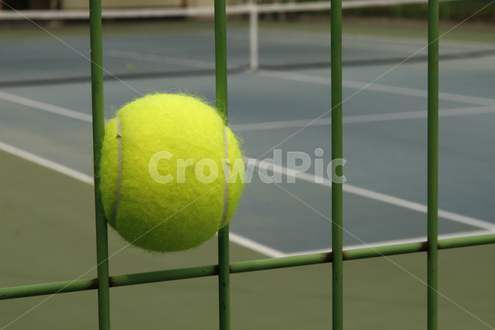 테니스,코트,볼,공,네트,스포츠,레저,운동,sports,leisure,exercise