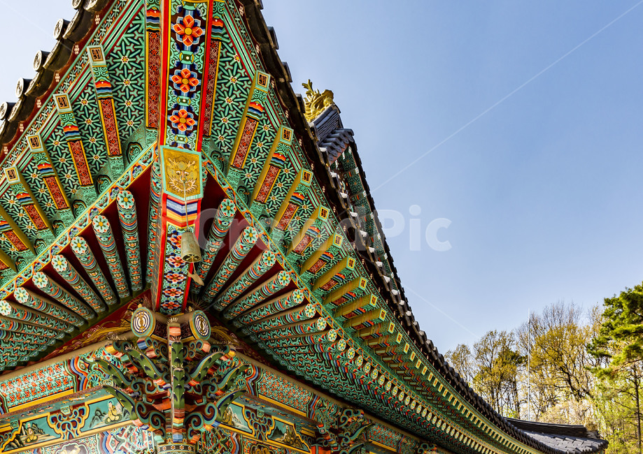 단청,기와,추녀,처마,무늬,사찰,절,대광사,한국의미,전통건축,고찰,종교건축물,기와지붕,고건축,한국전통,한국문화,korean traditional,korean culture,건축물,건물외관,exterior,building,structure,architecture,construction
