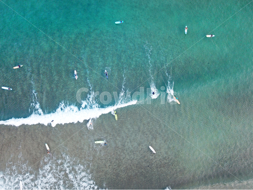 서핑,제주서핑,서퍼,여름,드론서핑,여름,계절,summer,season,자연,풍경,nature,landscape,해변,바다,beach,sea,사람들,대중,군중,other people,crowd,스포츠,레저,운동,sports,leisure,exercise,ocean,대양,outdoors,옥외,water,물,shoreline,해안선,경치,land,땅,scenery,aerial view,조감도,coast,연안