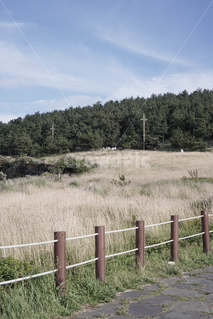 하늘,구름,감성,산,보리,자연,풍경,nature,landscape,한국자연풍경,한국자연경관,korea nature landscape,제주도,jeju,jeju island