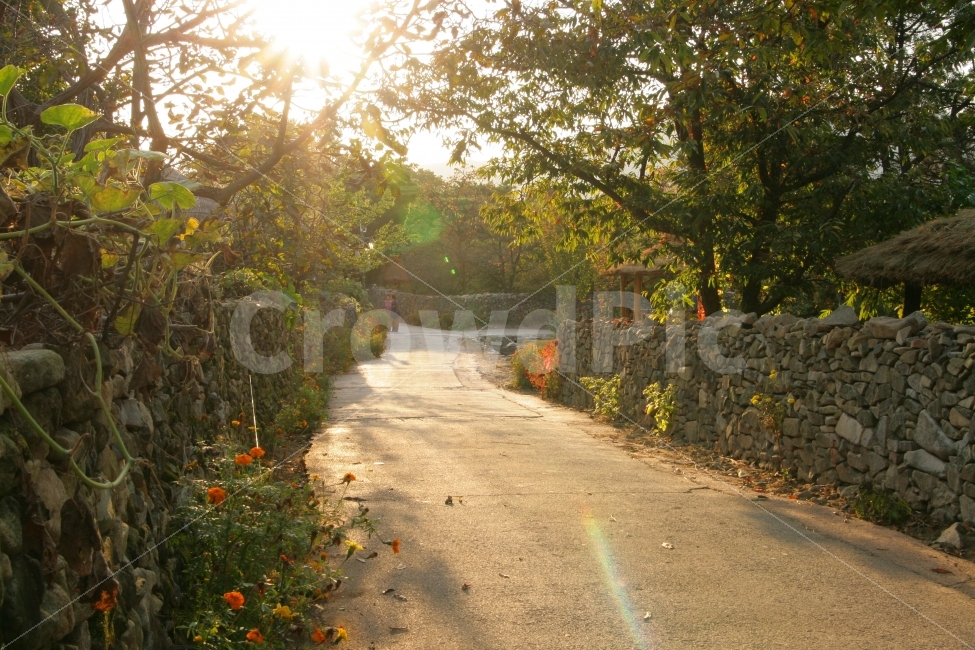 길,민속마을,골목길,햇살,가을길,가을,외암리민속마을,휴식,힐링,rest,relaxation,healing,시골,마을,풍경,landscape,country,rural,town,한국전통,한국문화,korean traditional,korean culture