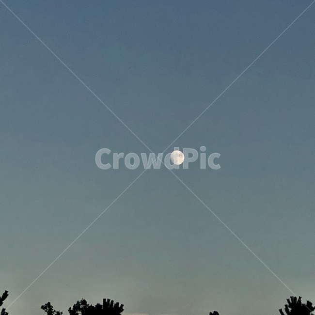 새벽감성,몽환적,moon,힐링,달,새벽,선명한달,저녁