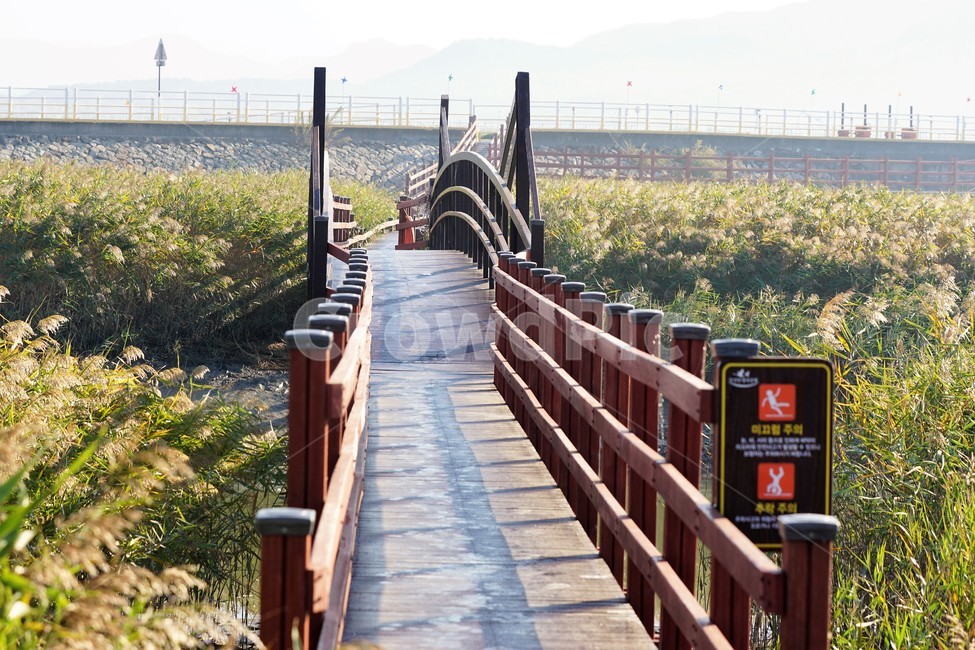 가을,갈대,자연,식물,하늘,감성,풍경,nature,fall,autumn,sky,다리,자연,풍경,nature,landscape,banister,난간,handrail,railing