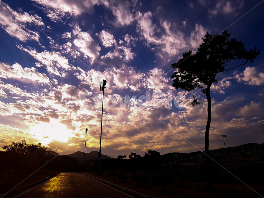 노을,구름,풍경,소나무,하늘,자연,풍경,nature,landscape,outdoors,옥외,sky