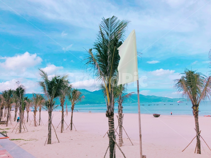 야자수,동남아시아,해변,나무,풍경,맑은날,베트남해변,mykhebeach,여름,휴양지,휴양,열대,해외,외국,휴식,방학,관광지,바닷가,바다,수평선,하늘,평화로운,편안한,힐링,치유,여유,자연,nature,계절,summer,season,beach,sea,vacation,rest,relaxation,healing