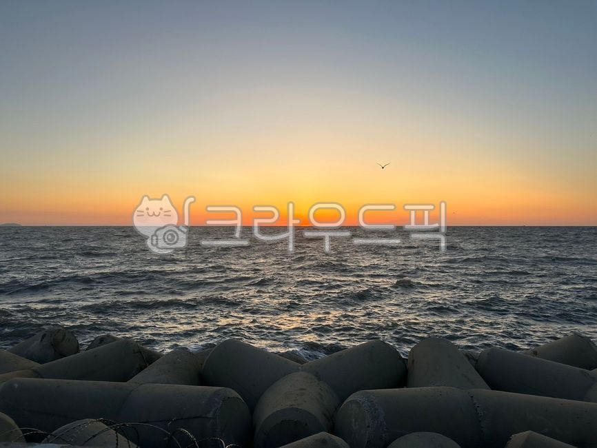 바다,노을,갈매기,방파제,인천바다,sunset,sea