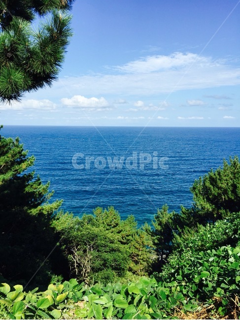 바다,숲,풍경,하늘,수평선,자연,배경,여행,힐링,자연,풍경,nature,landscape,tree,나무,plant,식물