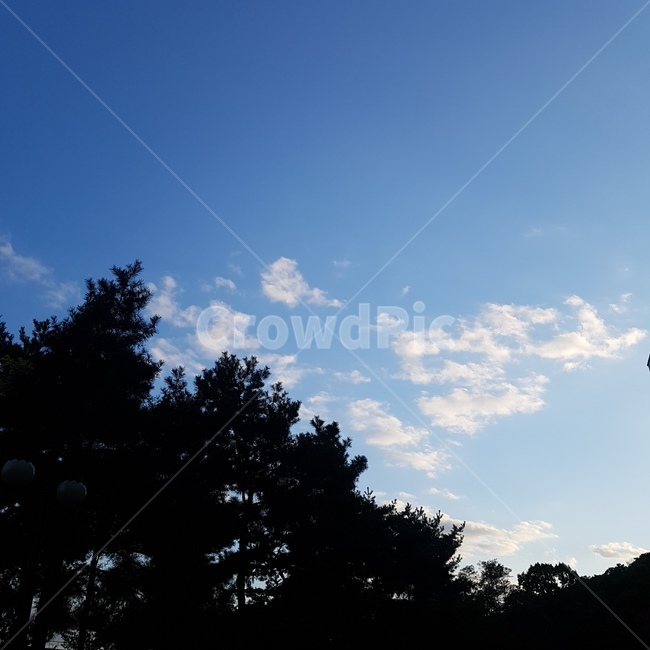 하늘,구름,나무,맑은하늘,날씨,자연,풍경,nature,landscape,outdoors,옥외