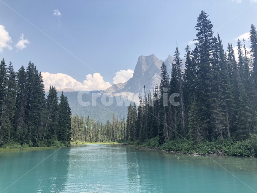 캐나다,밴프,캐나다국립공원,자연풍경,호수,호수풍경,banff,자연,풍경,nature,landscape,해외,외국,세계,foreign,oversea,world,세계자연풍경,해외자연풍경,외국자연풍경,world nature landscape,tree,나무,plant,식물,fir,전나무,abies,아비,water,물,outdoors,옥외