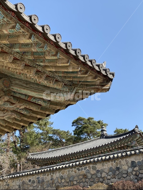 건축양식,건물,한국,기와,building,architecture,roof,지붕,건축물,temple,절
