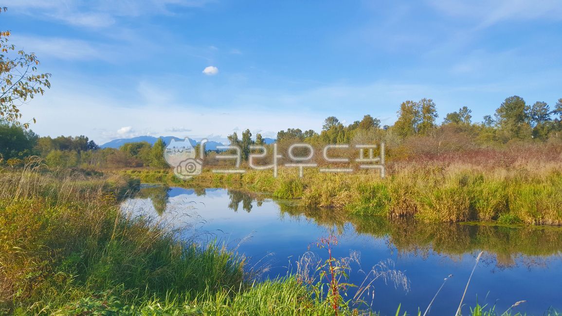 호수,자연,캐나다,밴쿠버,버너비,브리티시콜롬비아,bc,nautre,lake,canada,vancouver,burnaby