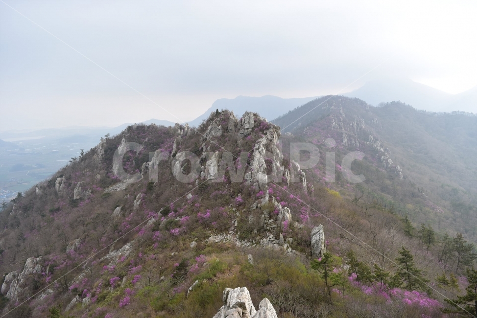 주작산,덕룡산,진달래,풍경,기암,바위,비경,봄풍경,분홍색,진달래꽃,강진,명산,산행,등산,마운틴,자연,풍경,nature,landscape,봄,계절,spring,season,slope,경사