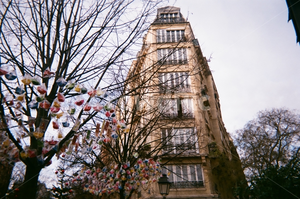 파리,나무,유럽,건물,아날로그,해외,세계,프랑스,구름,필름사진,paris,sky,oversea,world,europe,building,structure